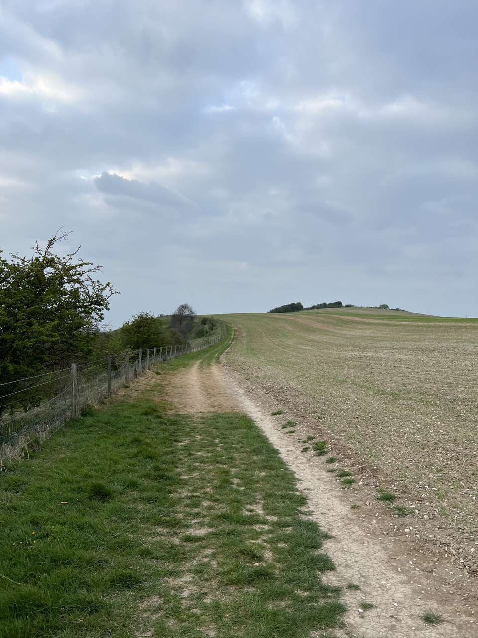 Looking back at the path between Warden and Galley hills