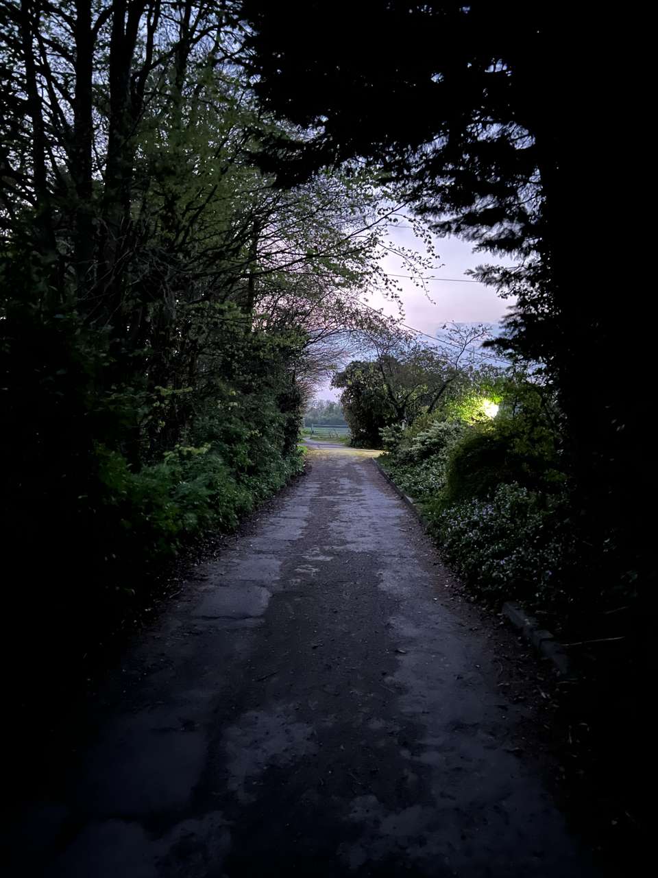 Country lane with darkness setting in