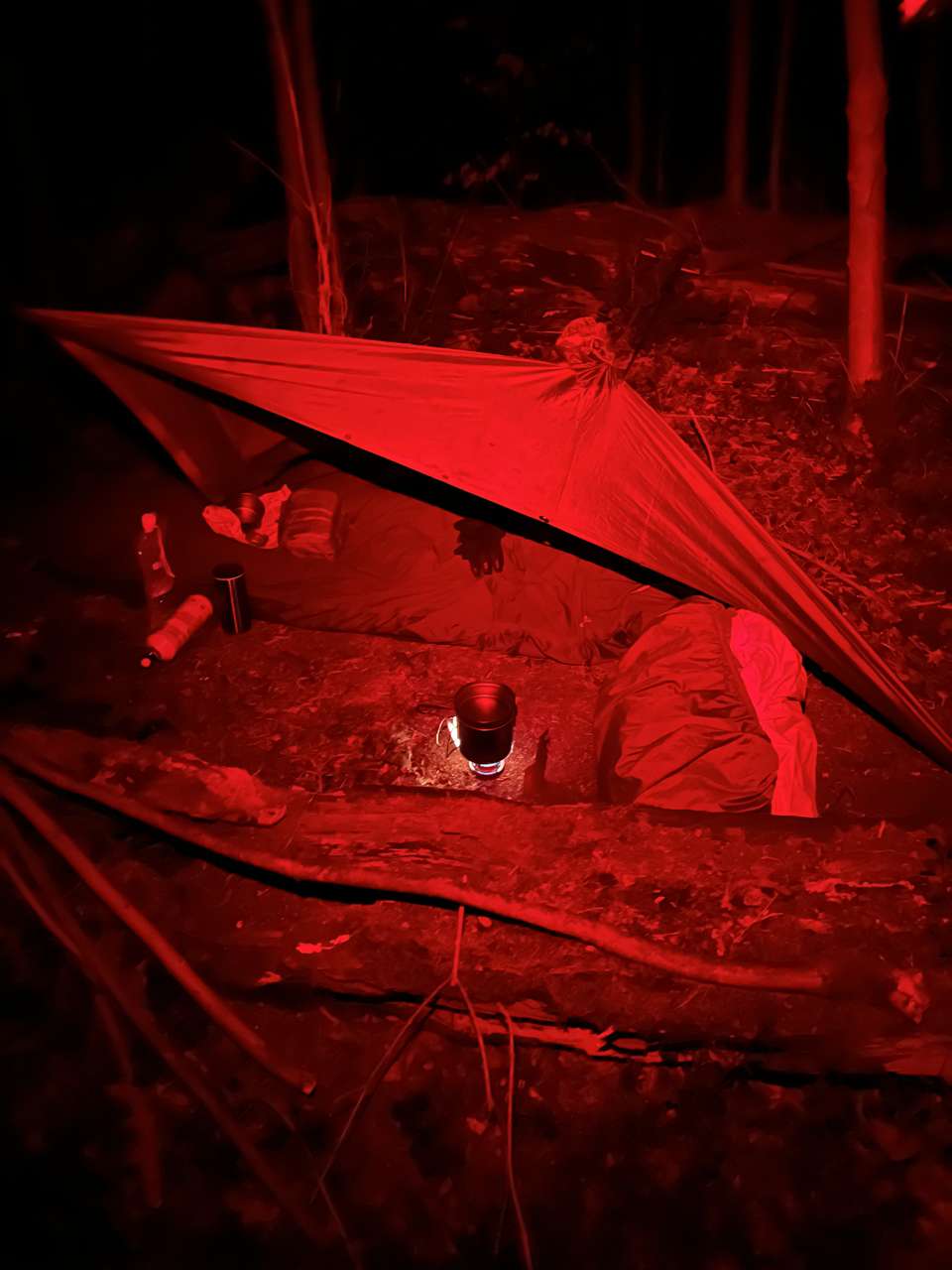Poncho as tarp with bivvy bag between fallen trees