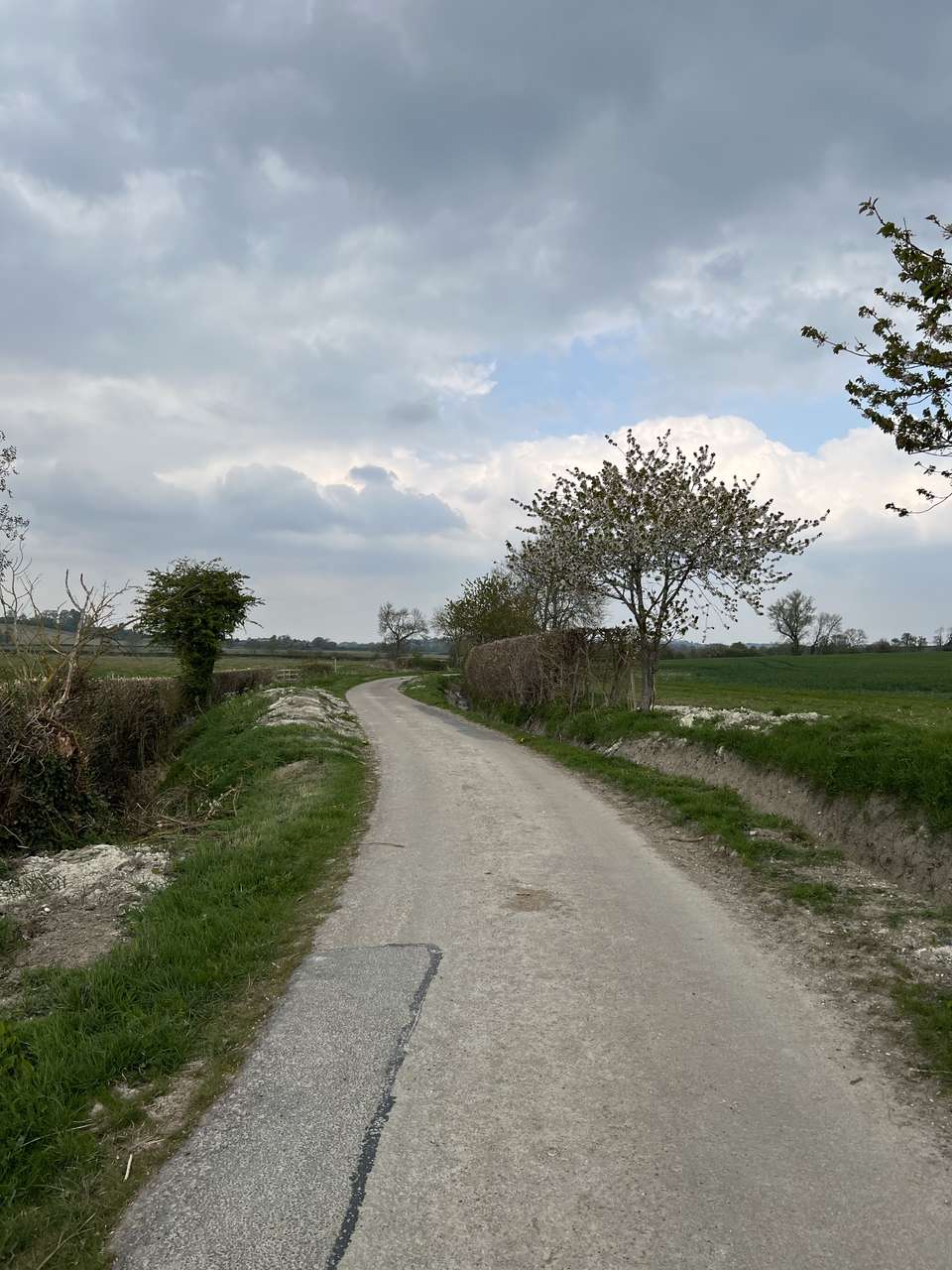 A country lane outside the village of Harlington