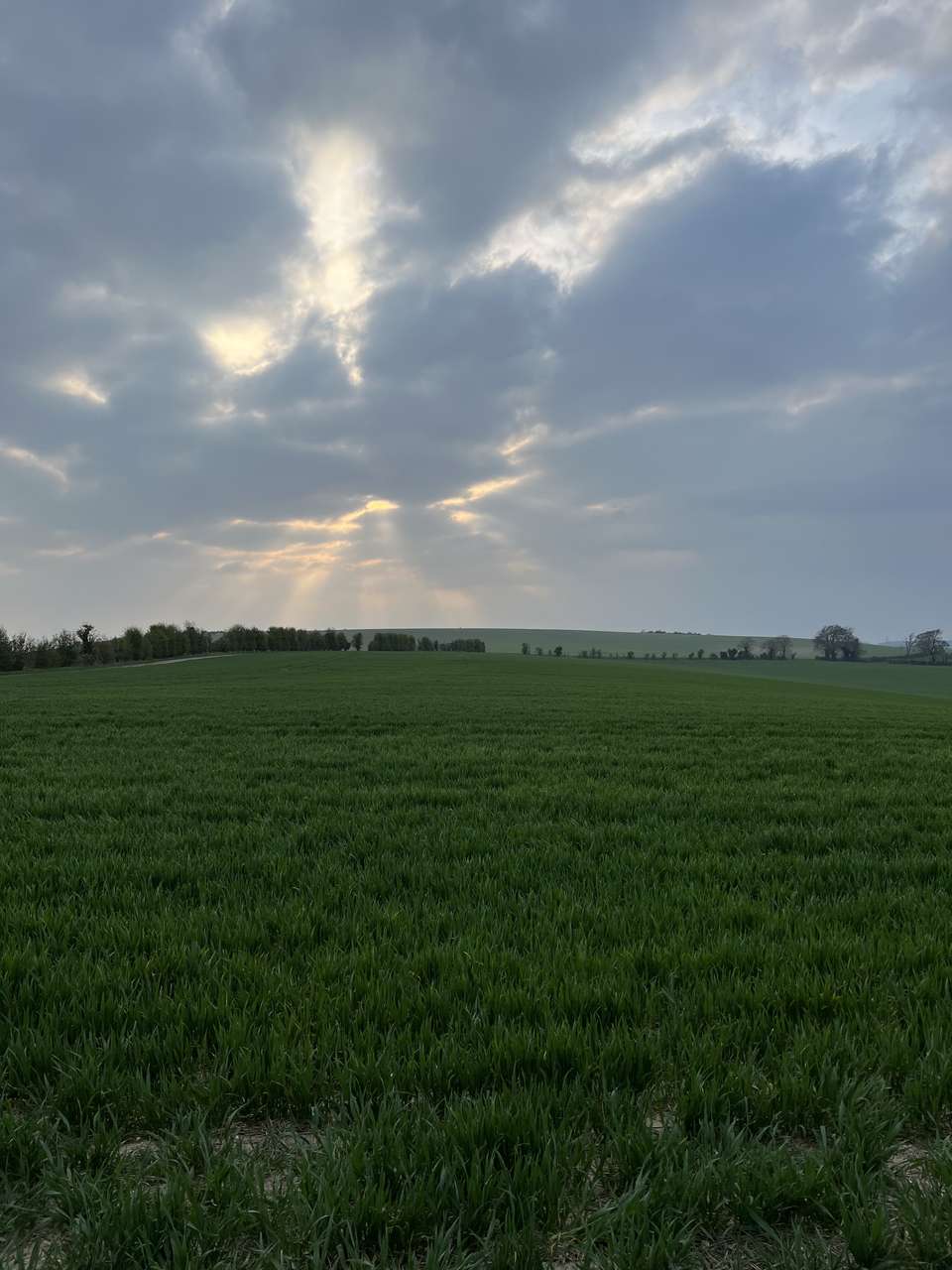 The Warden Hill trig point is visible on the horizon from the North
