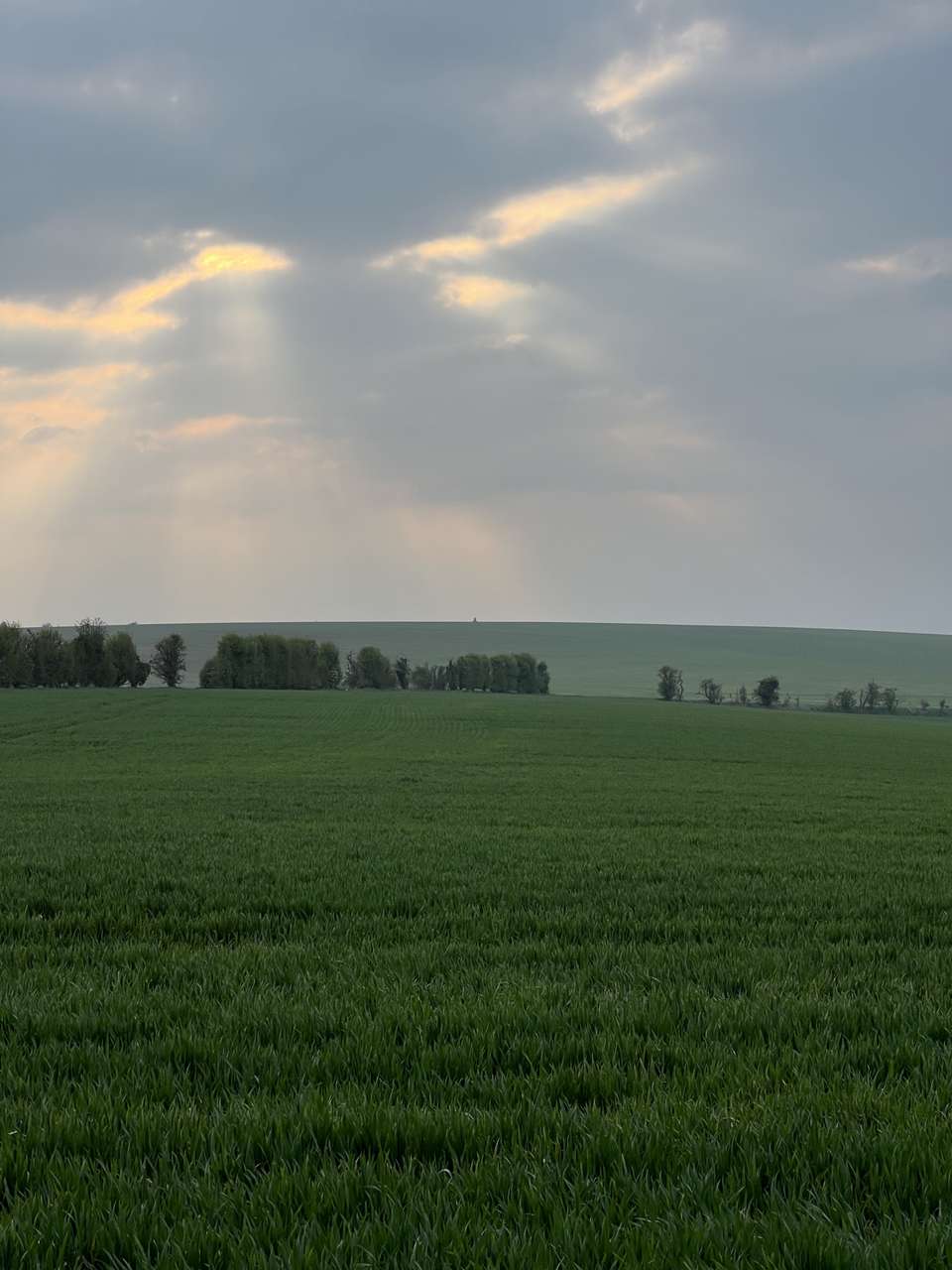 Another zoomed shot of the Warden Hill trig point from the North