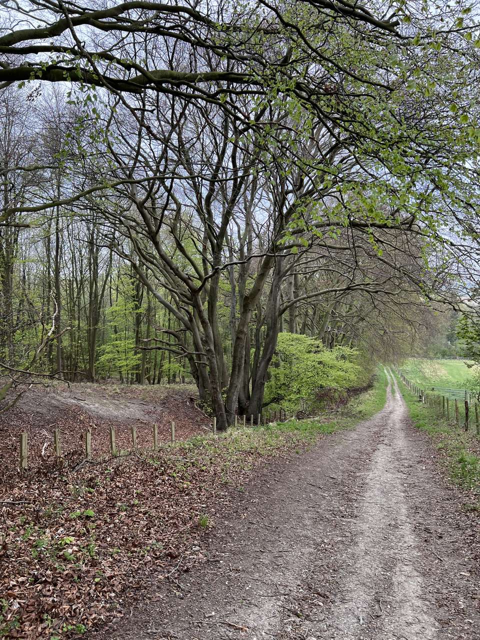 The top of the trackway leading down from Telegraph Hill and Hoo Bit to Pegsdon