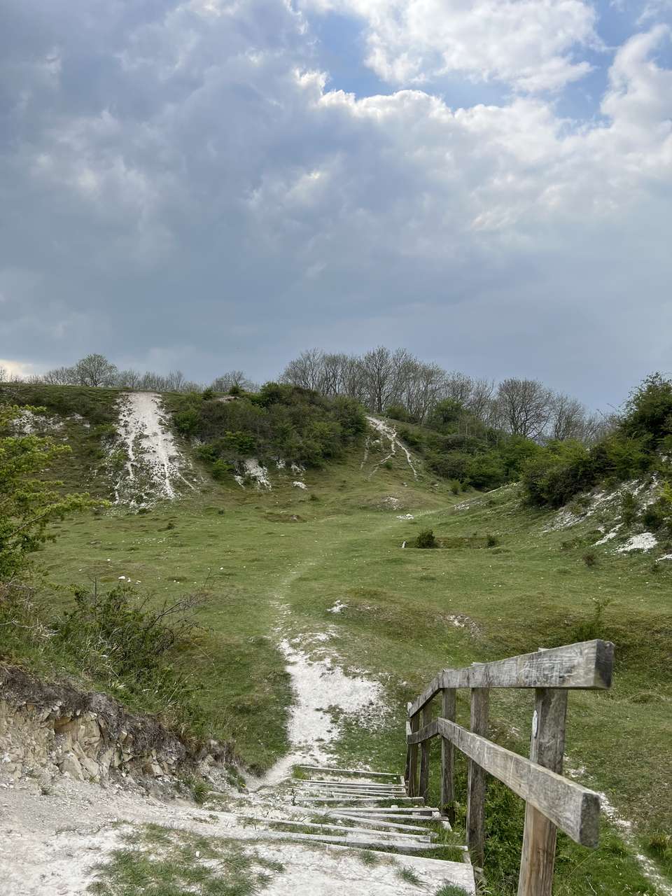 Steps out of disused chalk pit in the Sundon Hills